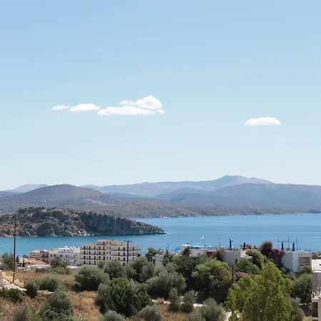 Iliana * Τολό